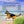 Load image into Gallery viewer, Audacious Canine/PRE-ORDER