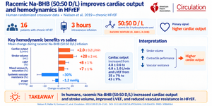 Heart Study about Na-D/L-BHB