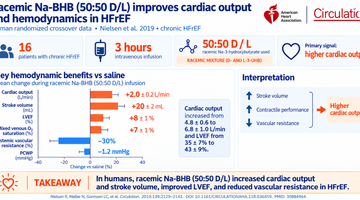 Heart Study about Na-D/L-BHB