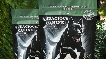 Want to See Your Dog Thrive? Why This New Audacious Canine Product Is a Must-Have