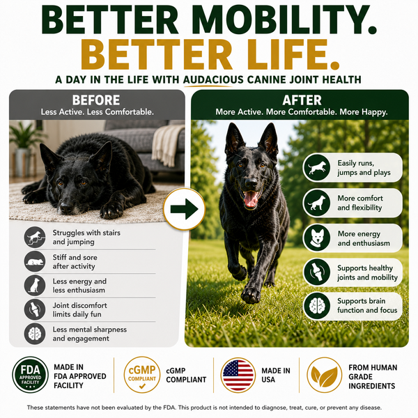 Audacious Canine/ Joint Health