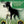 Load image into Gallery viewer, Audacious Canine/ Joint Health Sample
